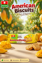 American Biscuits 70 Gr.