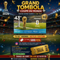 TOMBOLA COUPE DU MONDE - TV LED 43'' HISENSE AVEC WIFI