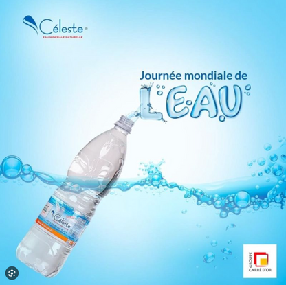 Eau Minérale Céleste Fan Club Découvrez la gamme complète d'eau minérale Céleste, Pure et légère … #eauminéralecéleste #Bonoua #abidjanplaces #abidjanshopping #CôtedIvoire #Abidjan