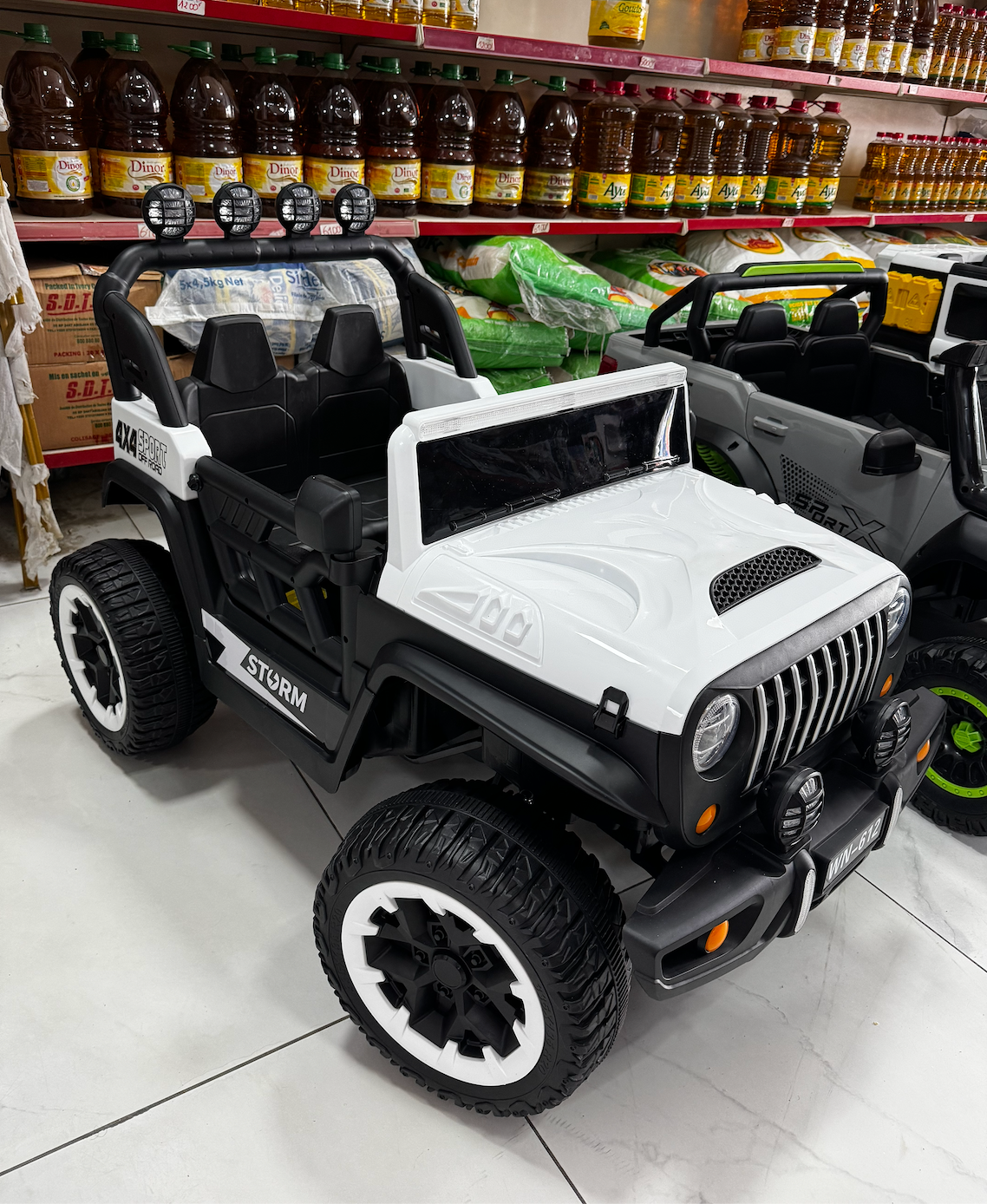 Grand Panier de Basket + 2 Ball