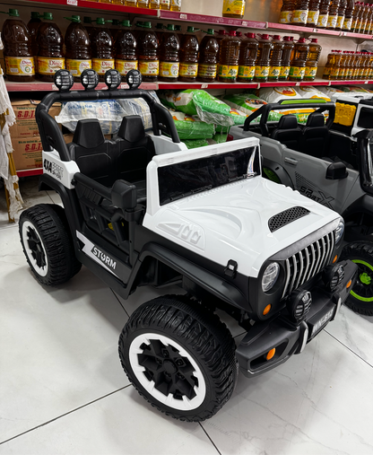 Grand Panier de Basket + 2 Ball